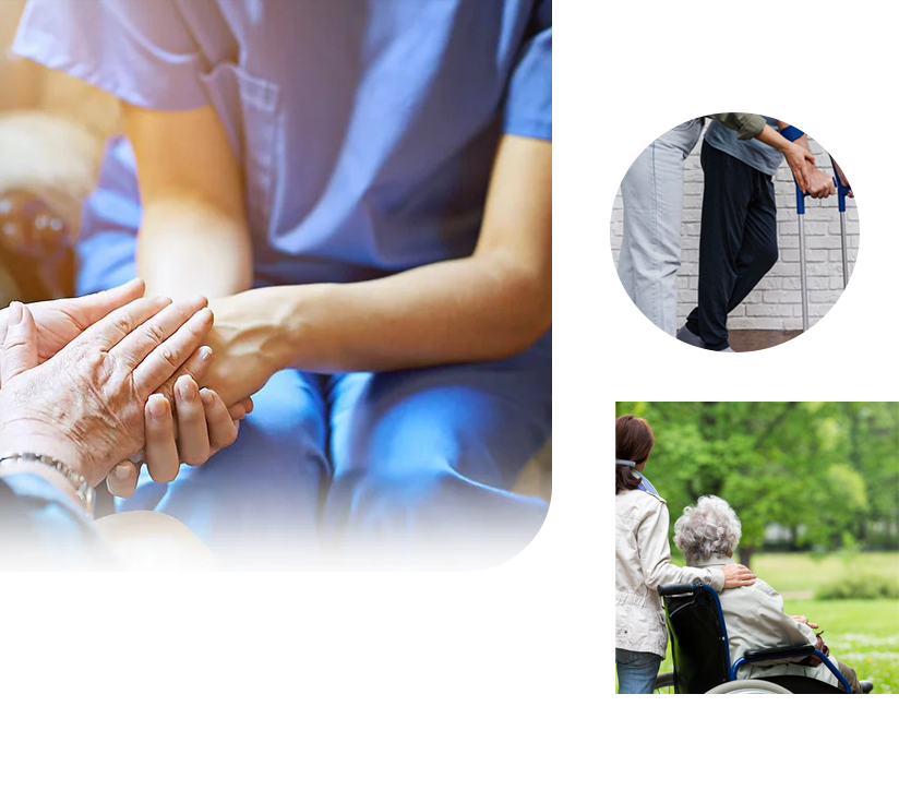 Main slider Daphne Cares Daphne Cares